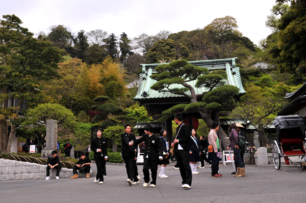 415 mini3 DSC_8690.jpg